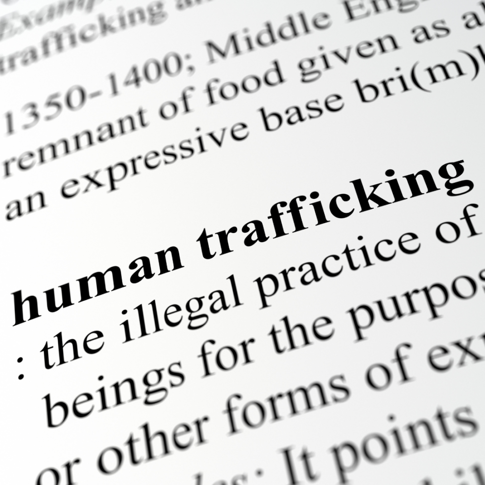 National Human Trafficking Prevention Month Avda 7754
